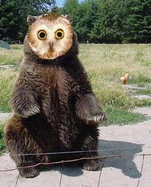 Owlbear3.jpg