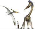 Quetzalcoatlus, the largest living thing that could ever fly.