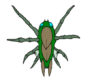 Webspinner 01.png