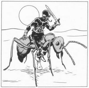 Bug-rider WD 43.jpg