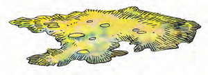 Yellow mold MM 2e.png