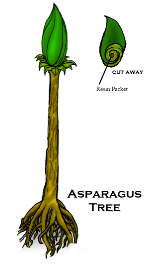 AsparagusTree 00.png