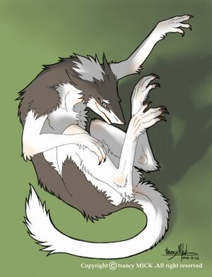 Sergal (3).jpg