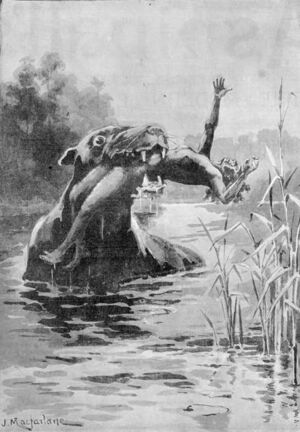 Bunyip 1890.jpg