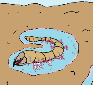 Oasis Worms.png