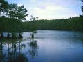 A lake showing the terrain of East Texas