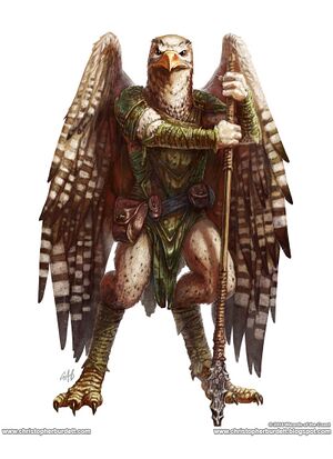 Aarakocra 5e.jpg