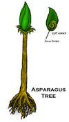 File:100px-AsparagusTree 00.png