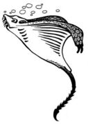File:127px-Ixitxachitl-1e.jpg