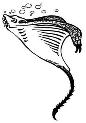 File:300px-Ixitxachitl-1e.jpg