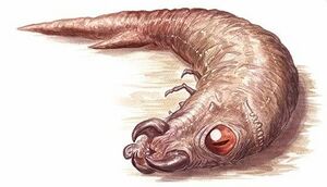 File:300px-Piercer 5e.jpg
