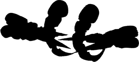 File:450px-Ajaba.png