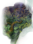 File:135px-Assassin vine 5e.png