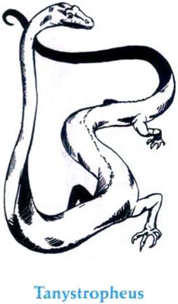 File:Tanystropheus MC3.jpg