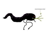 File:200px-1332712075110.png
