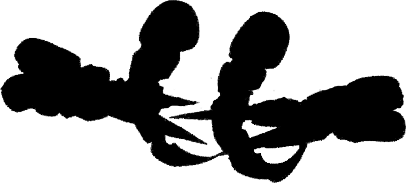 File:800px-Ajaba.png