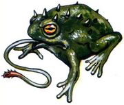 File:180px-Giant toad First Quest.jpg