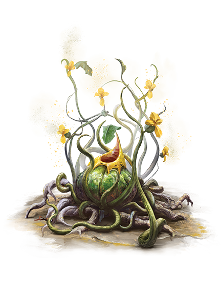 File:Yellow musk creeper PF.png