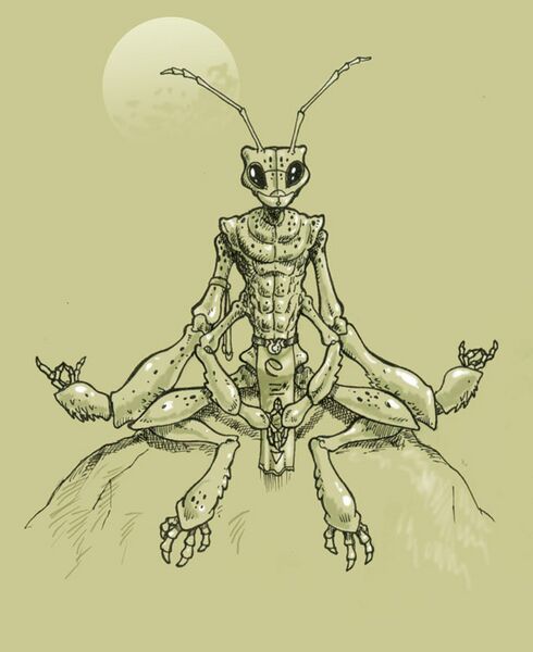 File:490px-Thri-kreen meditate.jpg