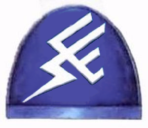 Rainbow Warriors Livery.png