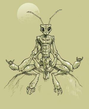 File:300px-Thri-kreen meditate.jpg