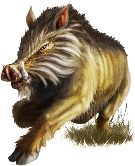 File:450px-Dire boar B1.png