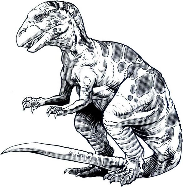 File:1024px-Allosaurus MC3.jpg