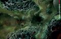 Thumbnail for version as of 19:23, 21 January 2025