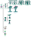 Thumbnail for version as of 19:19, 21 January 2025