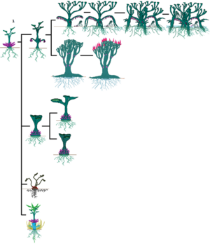 1024px-Azrach.png
