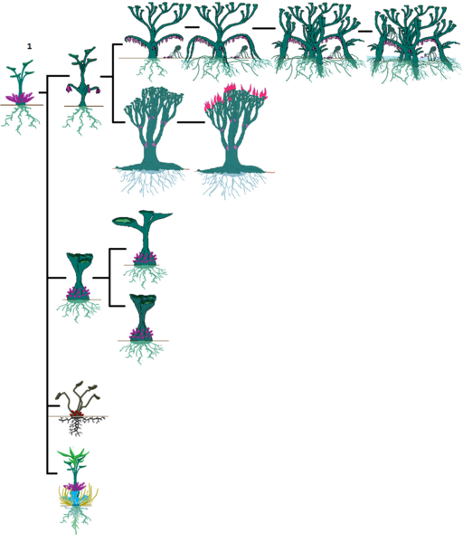 File:1024px-Azrach.png