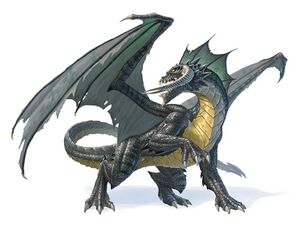 1024px-Black dragon 5e.jpg