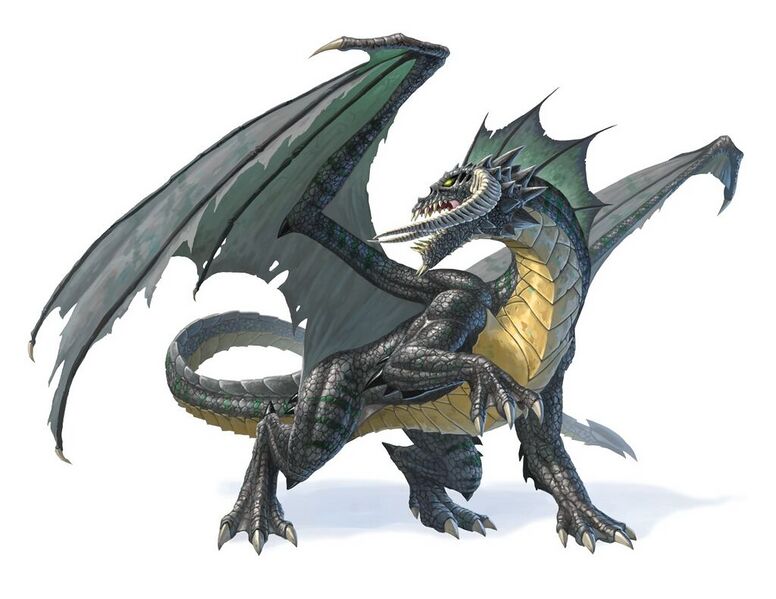 File:1024px-Black dragon 5e.jpg