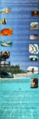 Thumbnail for version as of 19:28, 21 January 2025