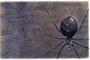 1024px-Demonweb OHG.jpg
