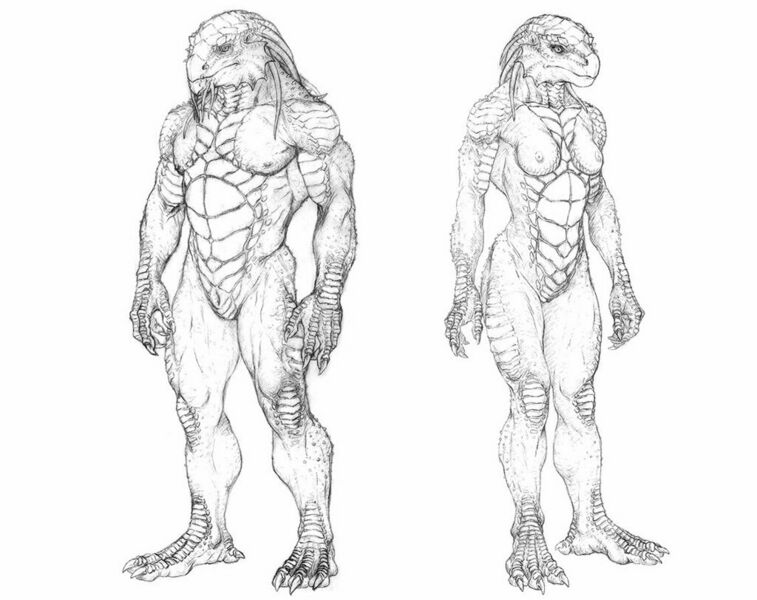 File:1024px-Dragonborn Anatomy.jpg