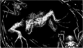 Thumbnail for version as of 18:05, 21 January 2025