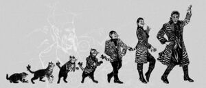 1024px-Evolution of Cat.jpg