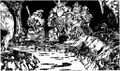Thumbnail for version as of 17:25, 21 January 2025