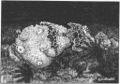 Thumbnail for version as of 19:12, 21 January 2025