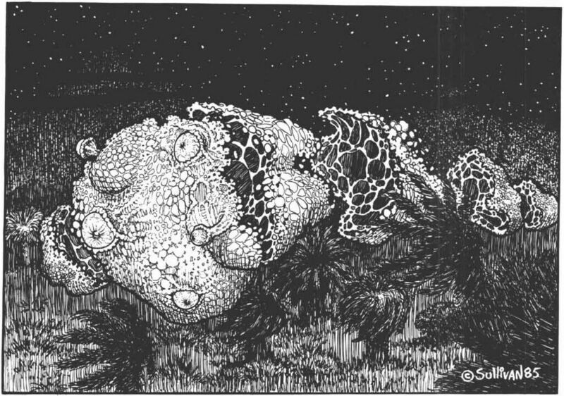 File:1024px-Flying polyp Fragments of Fear.jpg