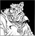 Thumbnail for version as of 19:51, 21 January 2025
