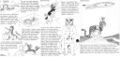 Thumbnail for version as of 18:49, 21 January 2025