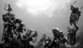 Thumbnail for version as of 17:44, 21 January 2025