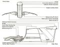 Thumbnail for version as of 17:37, 21 January 2025