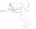 Thumbnail for version as of 18:02, 21 January 2025