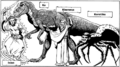 Thumbnail for version as of 19:19, 21 January 2025