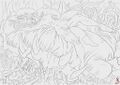 Thumbnail for version as of 19:00, 21 January 2025
