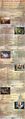 Thumbnail for version as of 19:23, 21 January 2025