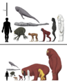 Thumbnail for version as of 17:31, 21 January 2025